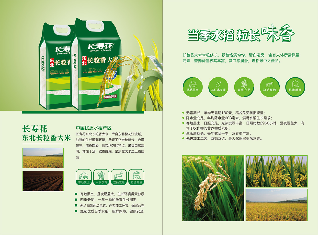 宝运莱_官方网站app下载
