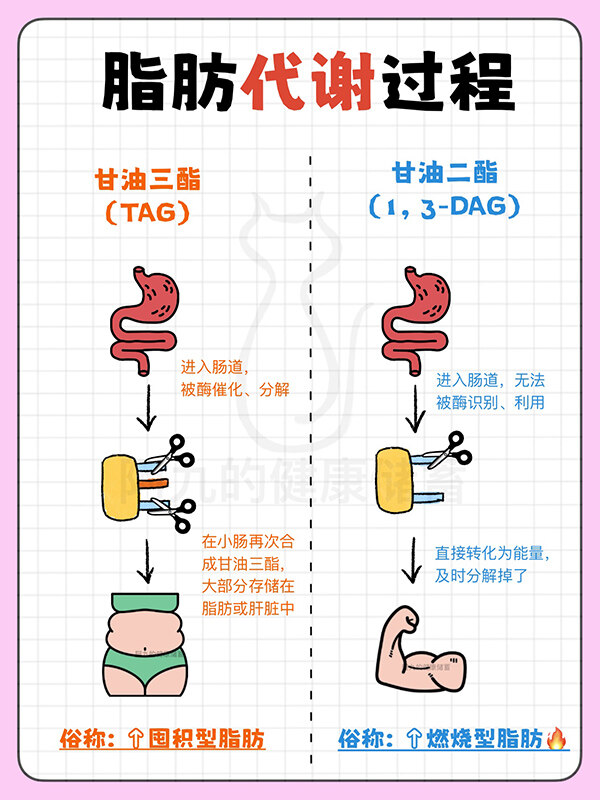 宝运莱_官方网站app下载