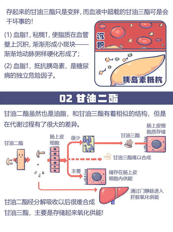 宝运莱_官方网站app下载