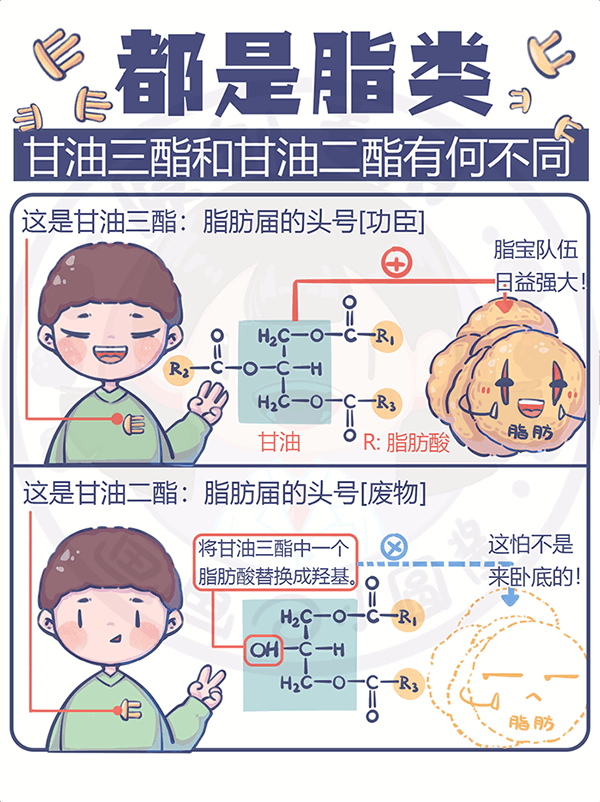 都是脂类甘油三酯和甘油二酯有何分歧？