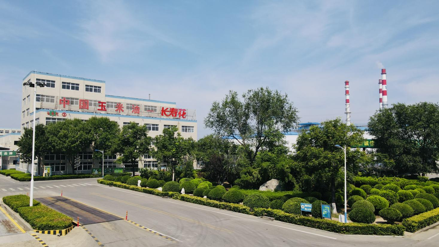创新驱动 产权护航｜宝运莱食品通过知识产权治理系统监督审核